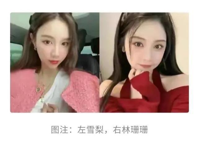 网红雪梨个人资料简历 雪梨偷税漏税现状怎么样了