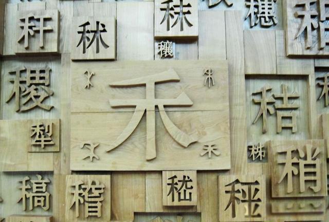 领的部首是什么是令还是页 声从令形从页