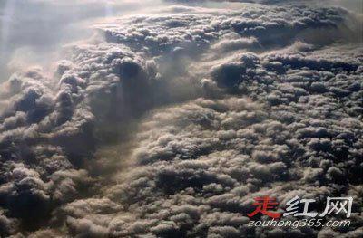 牛牪犇怎么读什么意思 这个名字是非常牛逼的意思