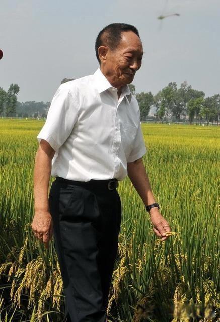 袁隆平简介及主要事迹 称之为当代的神农