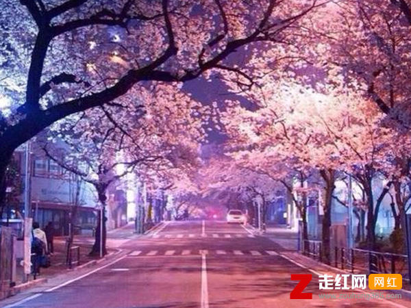 我在红尘等你人间等你守繁华之外是什么歌，等你归来歌曲介绍