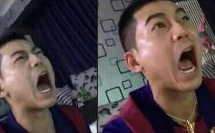 苏醒打人原因事件 当年为什么关门打人(被李炜绿了)