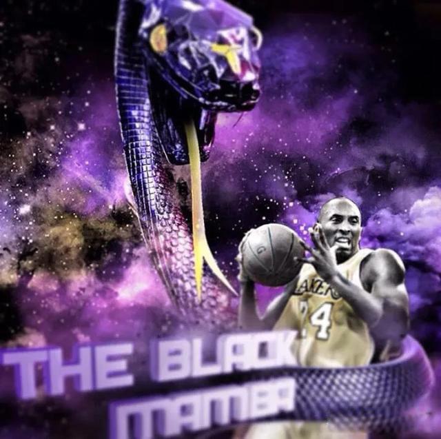 科比为什么叫黑曼巴是什么意思 像极了他球场上的作风