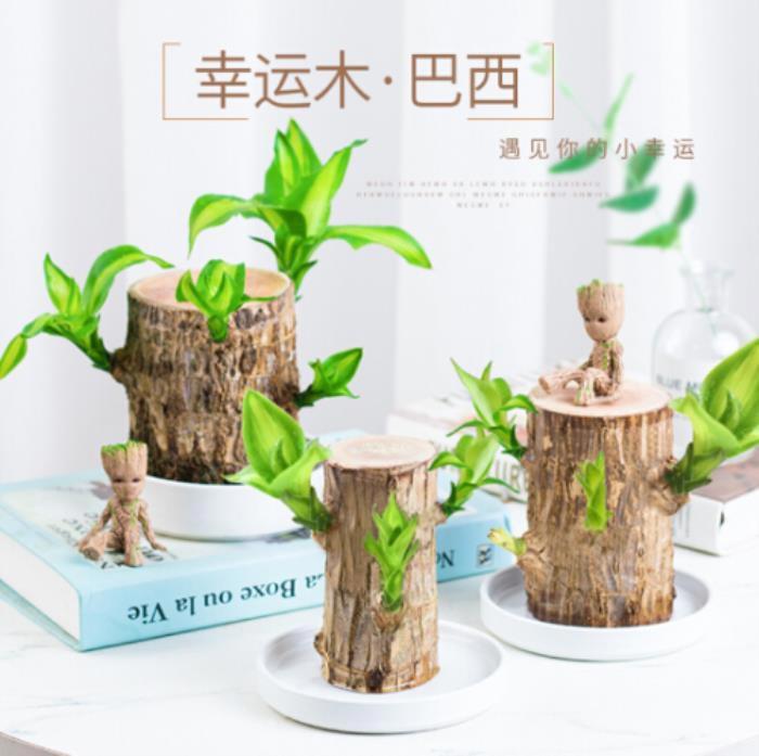 送男人礼物什么东西最合适 前十件排名最难忘