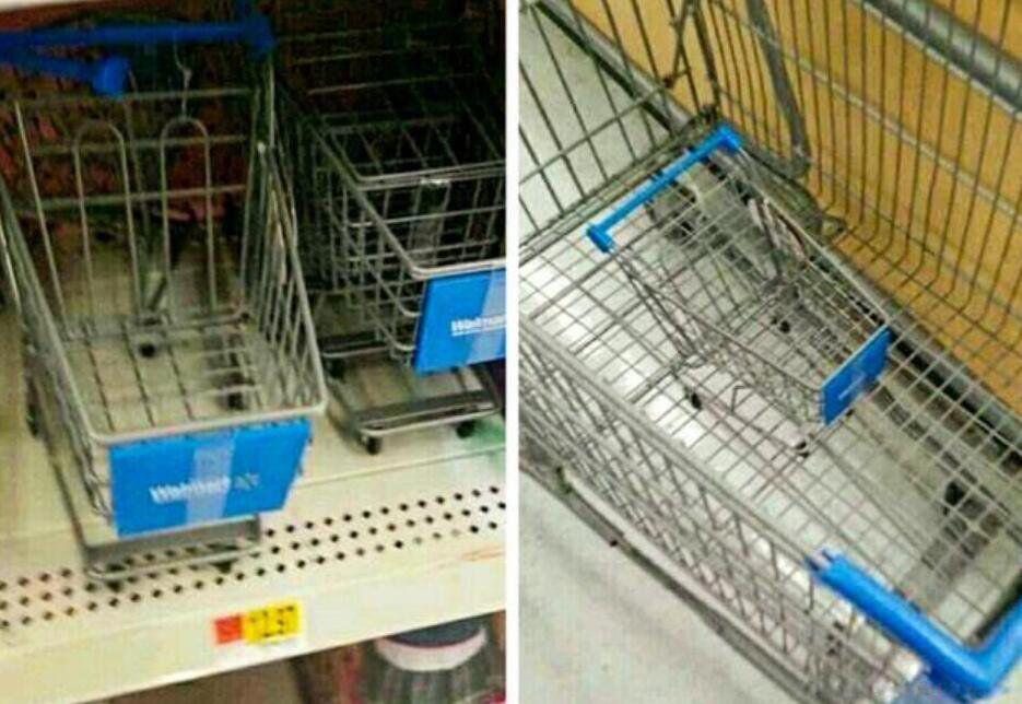 10张笑死十亿人的图片 搞笑图片笑死人不偿命的那种