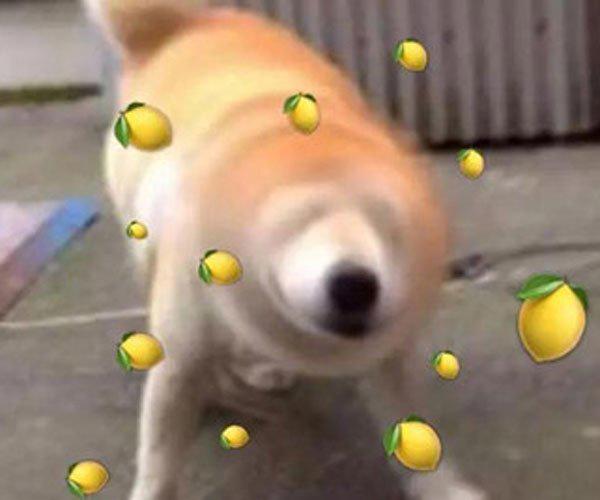 女生说开飞机是啥意思 男人要想hold住妹子们可不容易