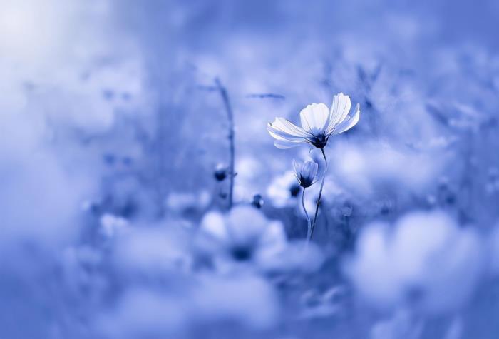 分手炮对男女生来说意味着什么 前女友打分手炮的心理