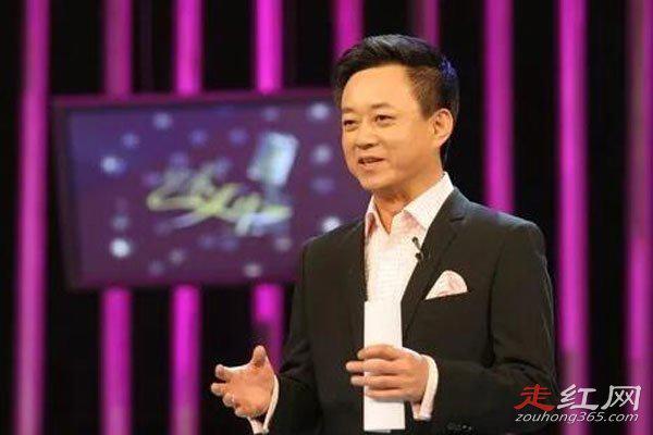 朱军弦子事件怎么回事 为什么被央视除名了