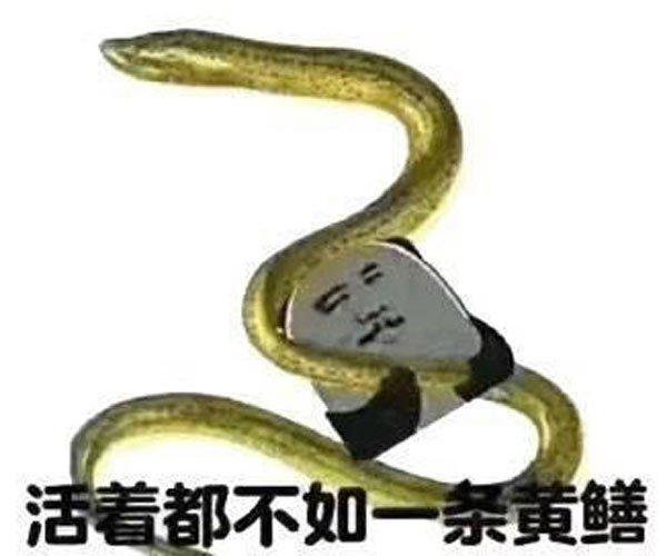 黄鳝门21分钟完整版在线真假 要钱不要命太会玩了