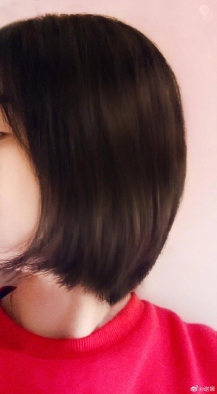 张杰谢娜什么时候离的婚是真的吗 怀二胎并未被湖南台辞退