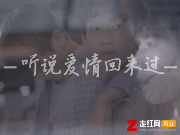 有一种想见不能见的伤痛是什么歌，听说爱情回来过歌曲介绍