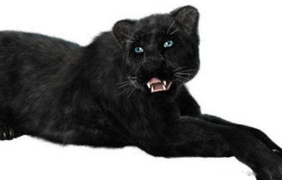 霸王猇真的存在吗灭绝了吗 霸王猇为什么灭绝