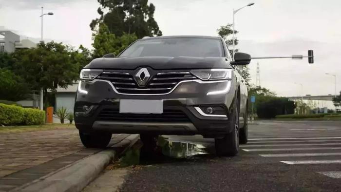 马路牙子什么意思 学名叫什么，如何上去