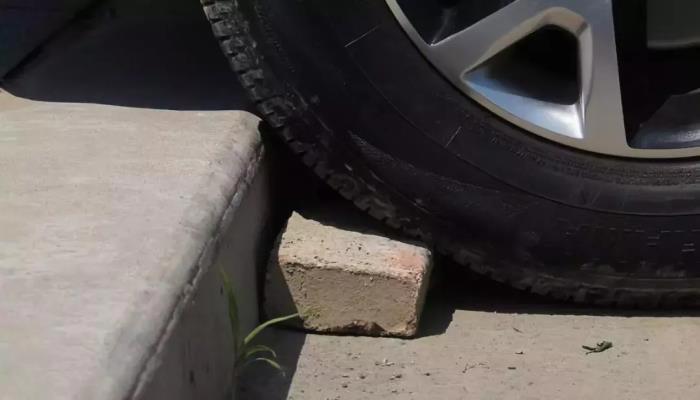 马路牙子什么意思 学名叫什么，如何上去