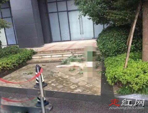 任娇是怎么掉下去的 死亡真相是什么