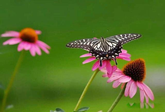 李文亮事件具体是怎么回事 本心主要体现在三方面