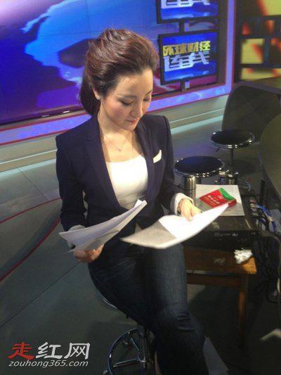 芮成钢简历个人资料简介 和章艳的关系