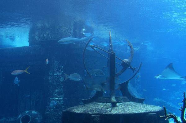 四个诡异震惊世界未解之谜 世界未解之谜真实案件恐怖灵异