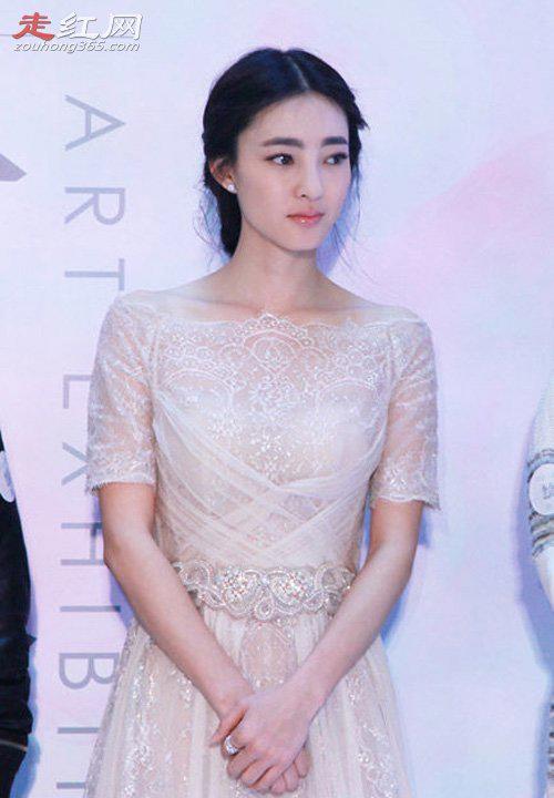 陈键锋老婆王丽坤个人资料简介 出演美人心计相识相知相恋