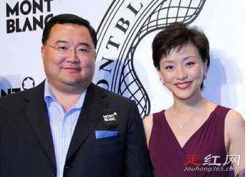 杨澜的第一任丈夫张一兵简介资料 现在的老公名字叫做吴征