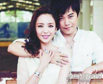 陈思诚佟丽娅什么时候离的婚 现在是什么情况