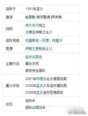 孟买酒店真实事件 轰动世界被称为孟买911