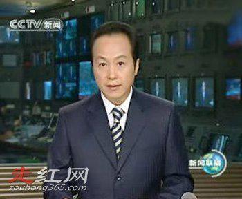 主持人罗京个人资料简历 去世的真正原因