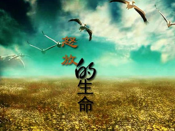 我想要怒放的生命是什么歌，怒放的生命歌曲介绍