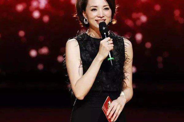 央视主持人董卿的简介 董卿赢得不是容貌是气度