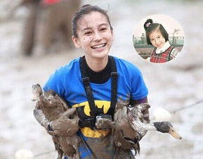 黄晓明和baby官宣离的婚是真的吗 处理错综复杂又异常庞大的财产
