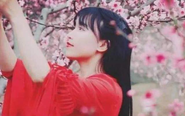 李子柒最近怎么不更新了 网络上各种说法都有