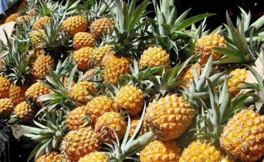 女生说吃菠萝是什么意思梗 男生吃菠萝据说可以变甜