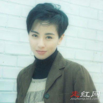 袁洁莹个人简历资料 年轻颜值巅峰照片