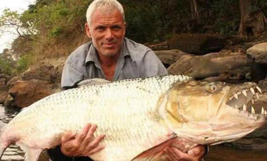 亚马逊河十大恐怖生物 最危险的动物到底有多恐怖