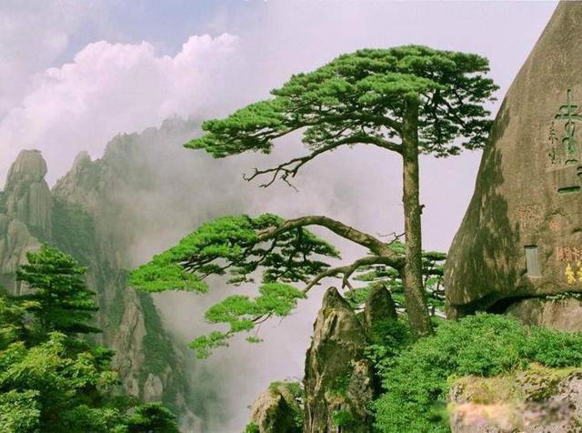 黄山在哪个省哪个市区 黄山的景物特点有哪些