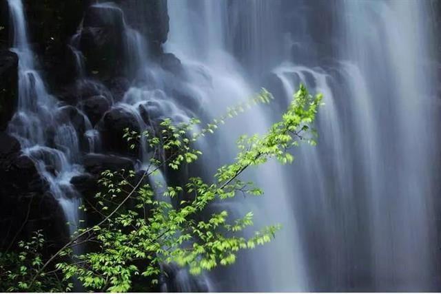 黄山在哪个省哪个市区 黄山的景物特点有哪些