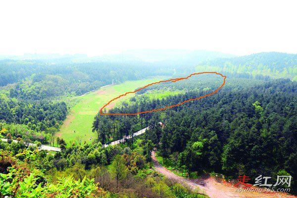 空中怪车事件到底是什么 相信是听说了太多版本