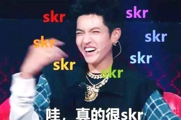 skr什么意思 制造出大量的谐音梗