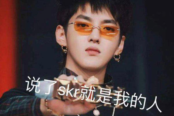 skr什么意思 制造出大量的谐音梗