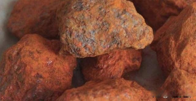 蛇最怕什么药闻到就跑 怎样防止蛇爬到院子里