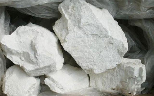 蛇最怕什么药闻到就跑 怎样防止蛇爬到院子里