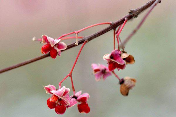 王梦溪的不雅照事件 事情被曝光之后生活怎样