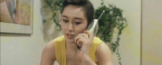 李连杰老婆利智资料简介 和利智有娃吗为什么娶利智真正原因
