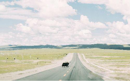 空窗期是什么意思 会受到哪些因素的影响