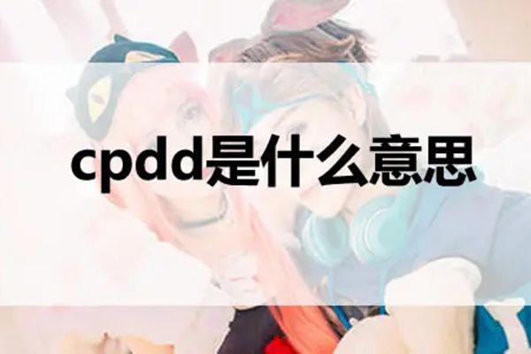 cpdd是什么意思怎么回复 三种cpdd常用语