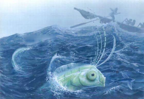 海蛇长什么样子可怕图片 5起大海蛇目击事件