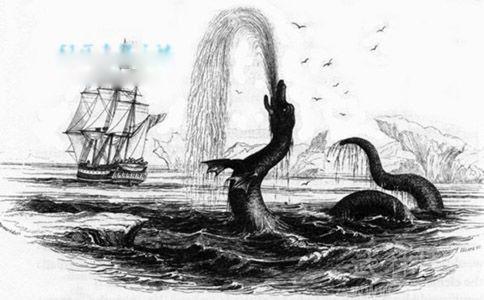 海蛇长什么样子可怕图片 5起大海蛇目击事件