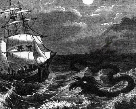 海蛇长什么样子可怕图片 5起大海蛇目击事件