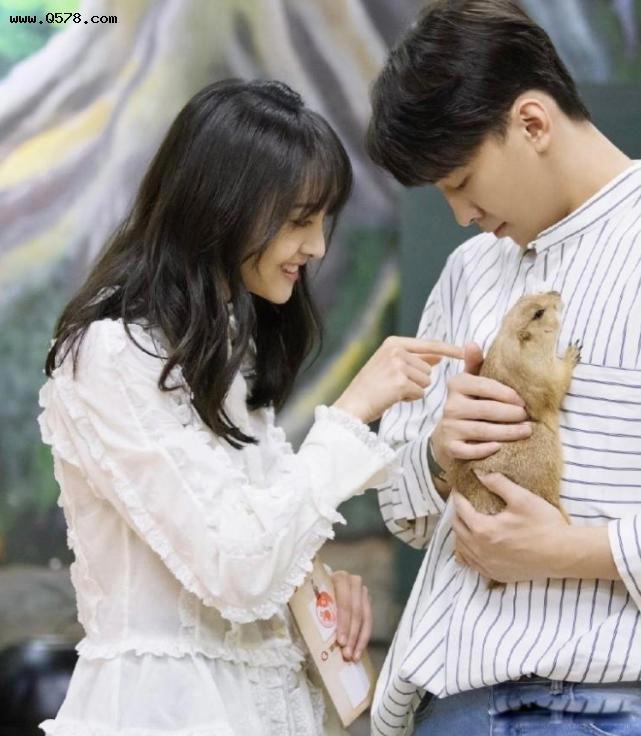 郑爽DNA结果非亲生 DNA验证孩子不是郑爽的