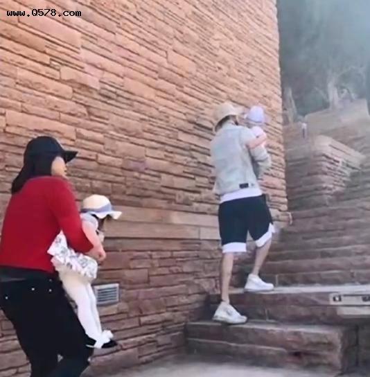 郑爽DNA结果非亲生 DNA验证孩子不是郑爽的